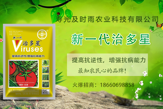 ���Ѳ�������֪���׷N�����Ӻ������η��Ѳ�������(��(n��i)�����η���) 