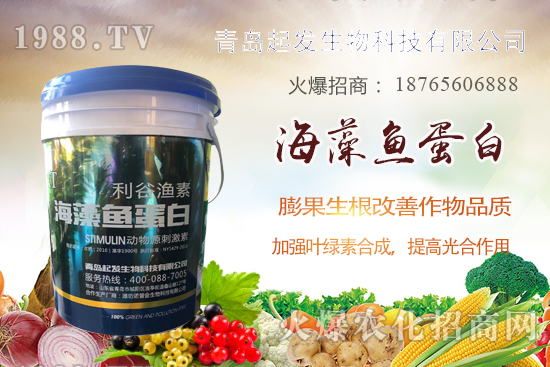 �߲˶�ֲ��ξ�������߲������`�^(q��)����Щ���߲�������������]��