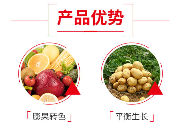 純營養(yǎng)多肽膨果轉色-色冠1號-凱瑞斯_04