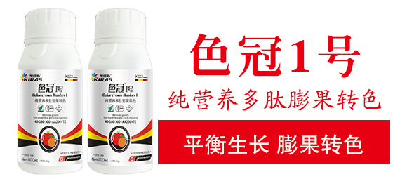 純營養(yǎng)多肽膨果轉色-色冠1號-凱瑞斯_03