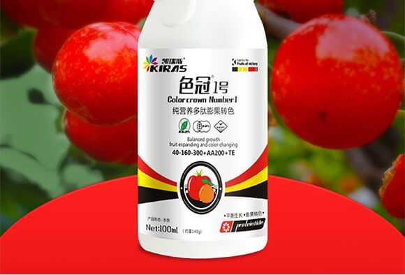 純營養(yǎng)多肽膨果轉色-色冠1號-凱瑞斯_02