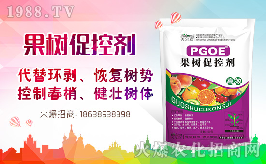 果樹巧用多效唑！效果翻倍沒問題！多效唑的作用與使用方法！