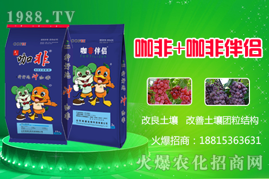 種好地沖好肥，解決作物生長(zhǎng)難題，“咖非+咖非伴侶”開創(chuàng)有機(jī)水溶肥新時(shí)代！