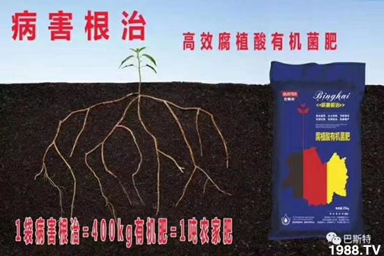     如何讓種植變得更輕松？一個(gè)套餐，全面配方，巴斯特大姜營(yíng)養(yǎng)套餐方案！