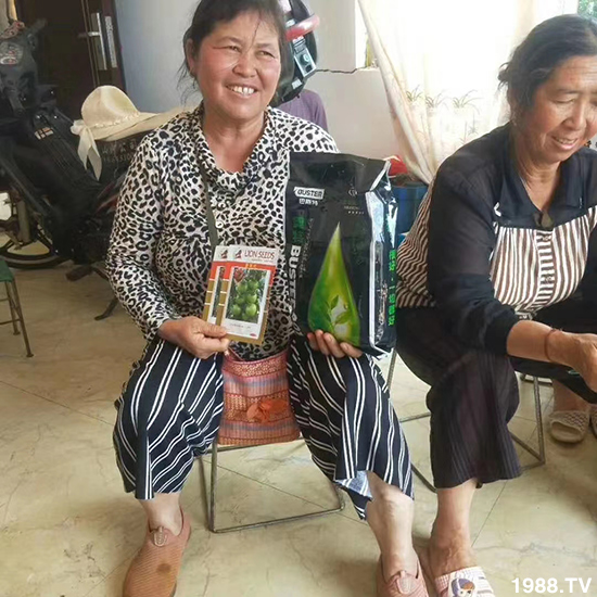     如何讓種植變得更輕松？一個(gè)套餐，全面配方，巴斯特大姜營(yíng)養(yǎng)套餐方案！