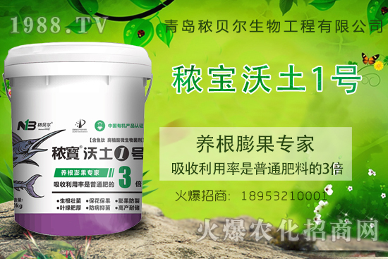 果實養(yǎng)根膨果關鍵期,果實養(yǎng)根膨果該施什么肥呢?