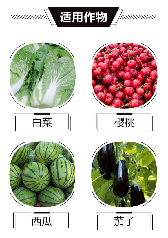 天然糖醇螯合制劑-糖醇鋅-艾康作物_04