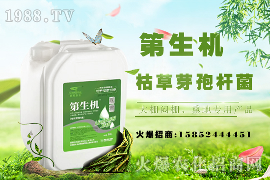 豆角只長蔓不開花啥原因？如何促花促莢提產(chǎn)量？