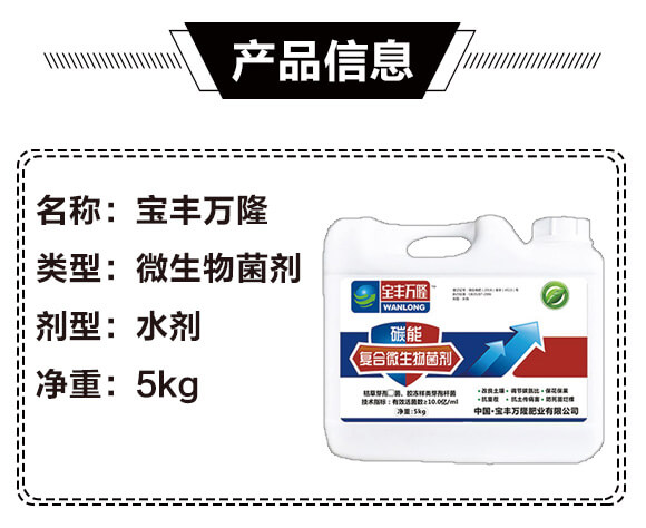 ̼�܏ͺ�΢�������-���S�f¡_02