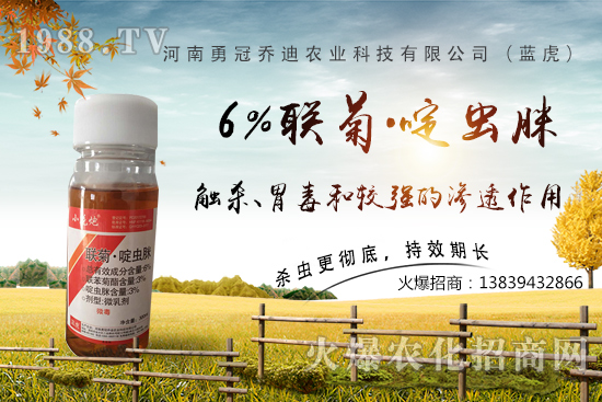 番茄白粉虱大爆發(fā),防治難?“6%聯(lián)菊·啶蟲脒”卵蟲通殺,藥性強(qiáng)!