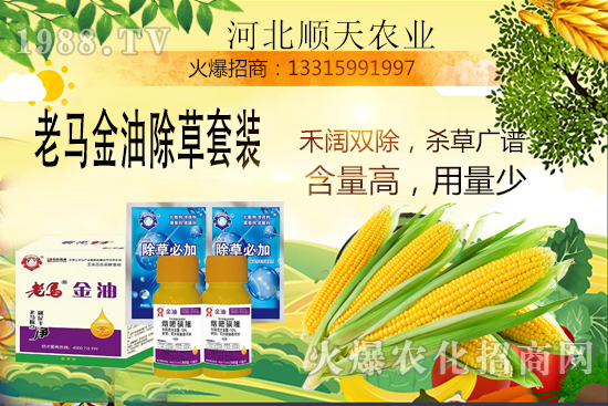 ����������������Ч�ʣ����׳����P(gu��n)�I�c(di��n)��R����