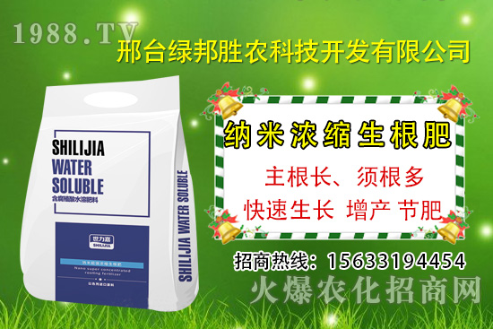 番茄死棵究竟哪些原因所致，如何預防番茄死棵發(fā)生？