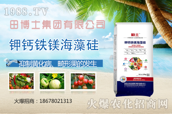 越夏番茄畸形果、產(chǎn)量上不去！防治番茄畸形果，這些要領(lǐng)需掌握！