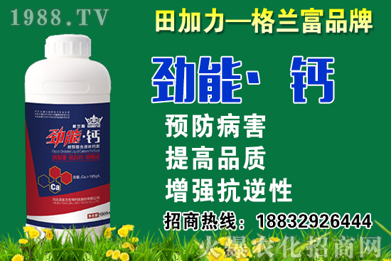 2020���}��ʲô�r(sh��)��N�����}���NֲҪע����Щ��(w��n)�}��