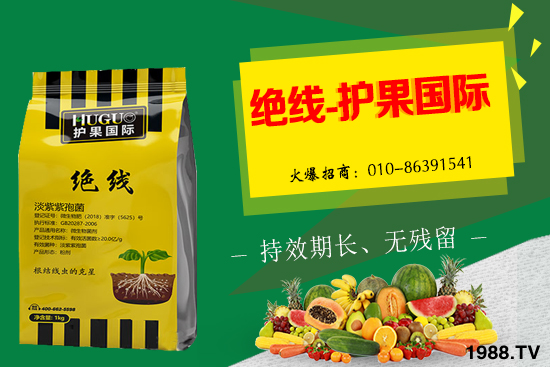 棉花為什么要打頂呢？有哪些好處？棉花打頂田間管理建議！