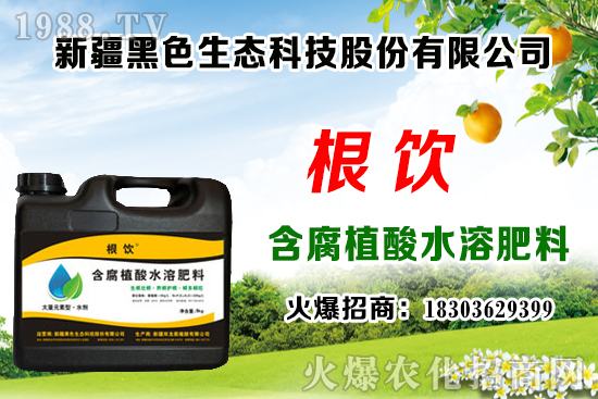 立秋后露地大白菜播種時(shí)間,管理需注意什么問(wèn)題?