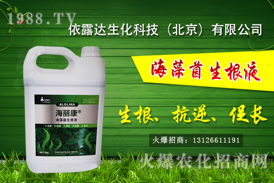 獼猴桃有哪些品種，獼猴桃和奇異果有什么區(qū)別？