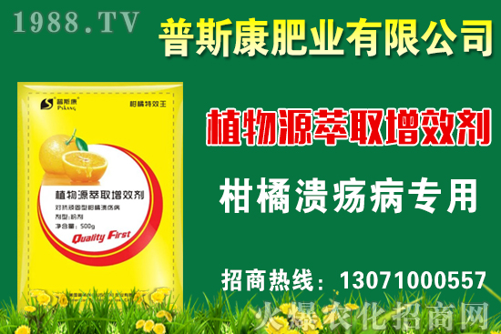 茭白無(wú)公害栽培技術(shù)要點(diǎn),茭白采收標(biāo)準(zhǔn)及方法!