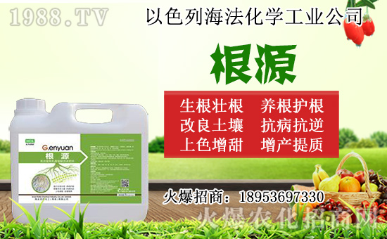 無花果怎么扦插？無花果扦插時間及扦插繁殖方法！