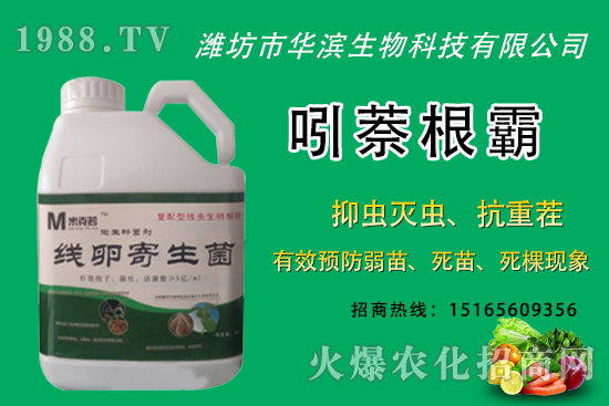 無花果種植什么品種較好？無花果皮可以吃嗎？種植前景怎樣？