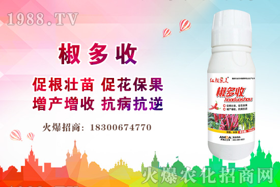 С���r������Xһ����2020�����С���r��߀���ϝq����