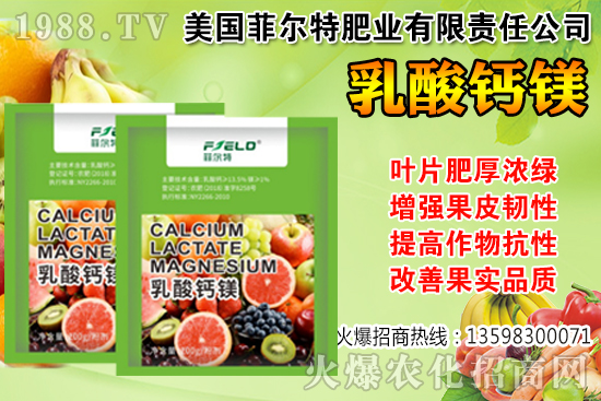 ���Ѳ��պ���α��r�����Ѳ��պ���@ע�����(xi��ng)��