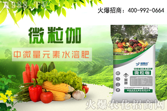 ����ԓ��ô���磬��������r�g������ע��Ҫ�c��