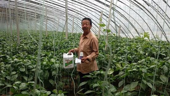 低溫菌解魚(yú)蛋白肥