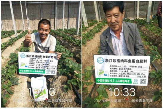 低溫菌解魚(yú)蛋白肥