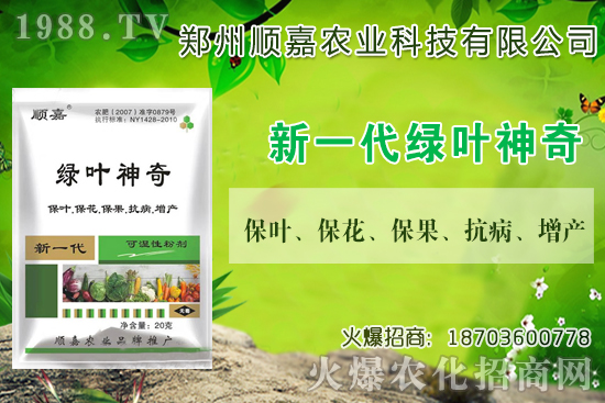 С���r���B�B�ϝq���F(xi��n)��һ������X��