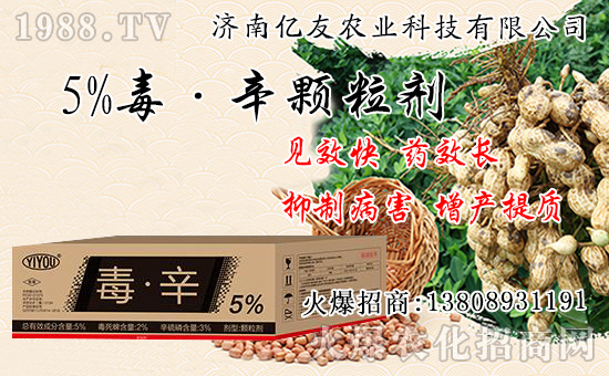 �������Ժʹ�����ʲô��ͬ���������԰˴��P(gu��n)�IҪ�c(di��n)��