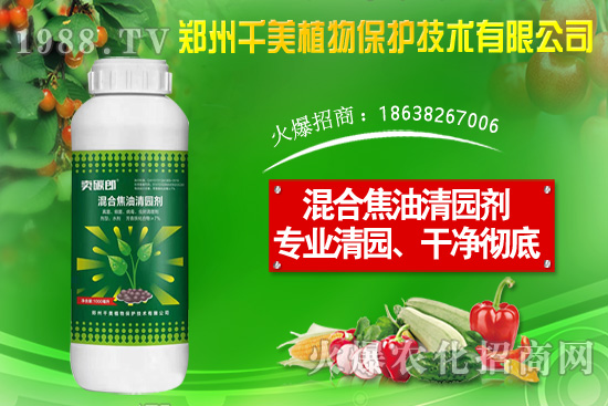 金錢草種子怎么種？金錢草種植方法介紹！