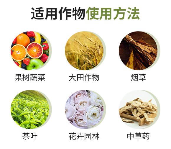 ����Ԫ��ˮ�ܷ���-�Ǵ��}�V-Ӣ����_09