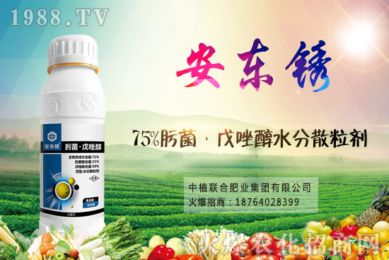 小麥價(jià)格后市將繼續(xù)漲？9月16日小麥價(jià)格走勢！