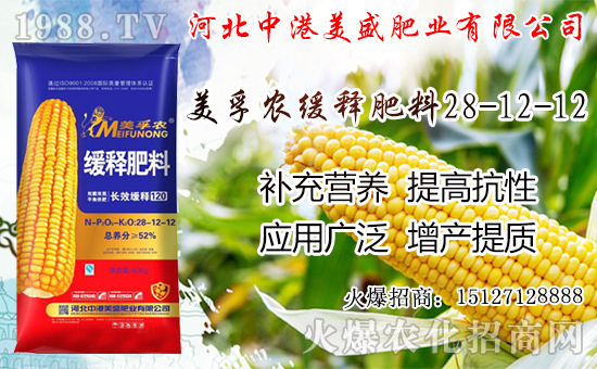 蘋果成熟期落果是怎么回事？蘋果成熟期及采摘后管理！