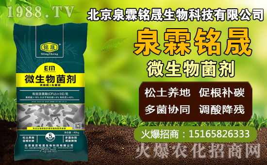 芒果什么時(shí)間種植，芒果種植方法及控水時(shí)期！