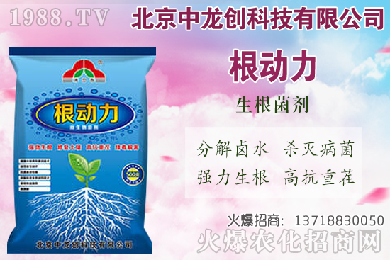 ���}���������������Щ�����}��ʩ�ʼ��g(sh��)Ҫ�c(di��n)��