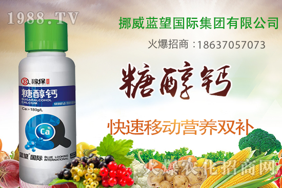 柑橘壯果肥如何施，柑橘壯果期施肥與管理！