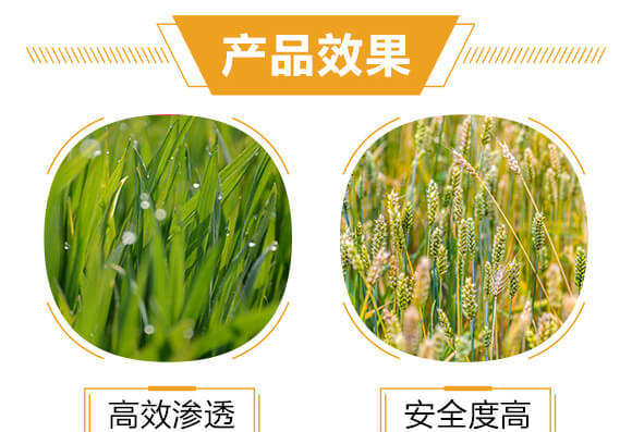 500ml進(jìn)口專用殺螨助劑-斑狄-科利農(nóng)_05