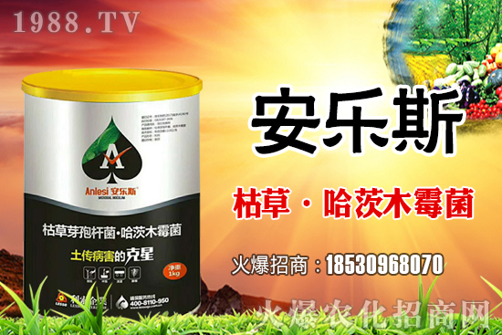 小麥種子是購(gòu)買(mǎi)還是自留?小麥自留種子需要注意哪些內(nèi)容?