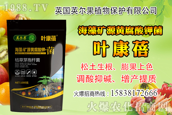 ��ô�Д����׺�ˮ��������������ˮ���й��ж���(j��ng)���