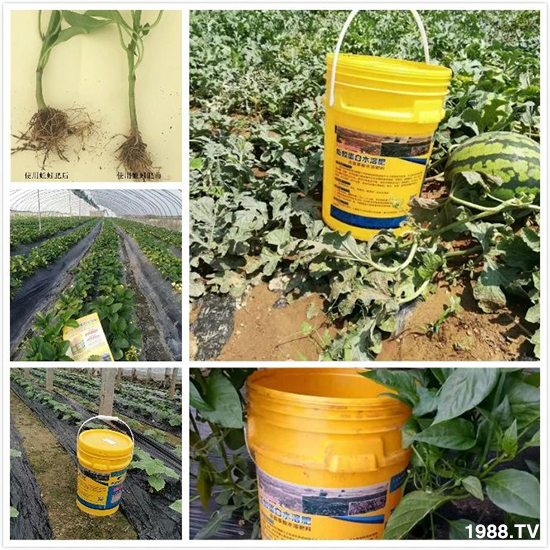 水溶肥市場大變革??？海藻精、魚蛋白將被它代替！1000多用戶鼎力推薦！