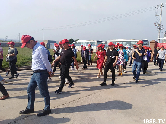 水溶肥市場大變革！？海藻精、魚蛋白將被它代替！1000多用戶鼎力推薦！