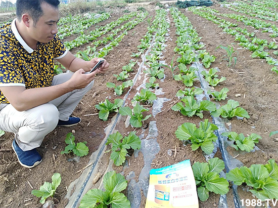 水溶肥市場大變革！？海藻精、魚蛋白將被它代替！1000多用戶鼎力推薦！