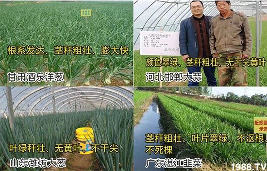 水溶肥市場大變革?。亢Ｔ寰?、魚蛋白將被它代替！1000多用戶鼎力推薦！