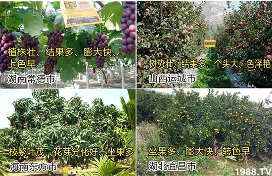 水溶肥市場大變革?。亢Ｔ寰?、魚蛋白將被它代替！1000多用戶鼎力推薦！