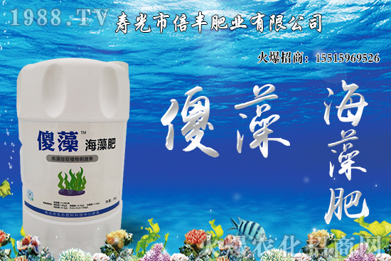 市場逐步回歸正?；久妫蠖箖r(jià)格沖高回落！