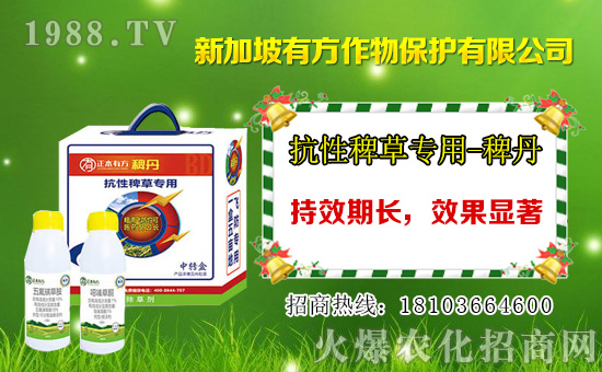 ��Ч�����׺��`���݄��r(ji��)��1��12��