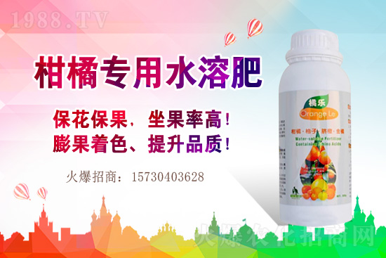 草莓的生長(zhǎng)習(xí)性有哪些？早春大棚草莓管理技術(shù)要點(diǎn)！