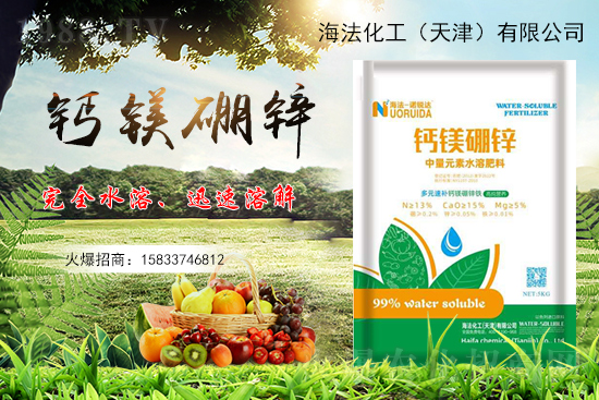 ������������ԷN�������������ηNֲ��